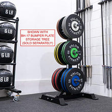 Valor Fitness BPP-180B Bumper Plate 180 lb Set Black