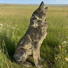 HakGak 29.7" Realistic Wolf Garden Statue, Hand-Painted Gray Resin Wildlife Sculpture with Detailed Fur Texture for Outdoor Patio, Yard & Lawn Decor