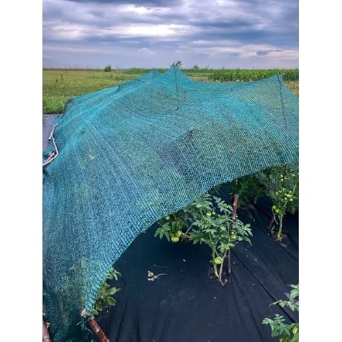 Farm Plastic Supply VBS Green Shade Sail Hemmed with Grommets 12' x 300'