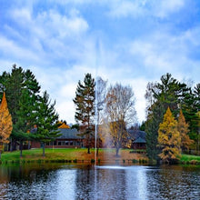 Scott Aerator Jet Stream Fountain 1/2 HP 230V Outdoor Decorative Pond Aerator