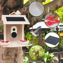 TsoLay Bird Watching Camera, Smart Bird Feeder with Solar Panel, High-Definition 1080P, IP66 Waterproof and Intelligent Recognition of Birds, for Outside, Yard, House, Tree, Bird Lover