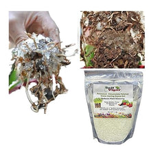 Soil Vigor Keep Plants Alive Without Water for Up to 2-Weeks - Super Absorbent Polymer Crystals - Potassium Polyacrylate for Lawns & Gardens - Reduces Watering 50% - Safe for Edibles (45 Pounds)