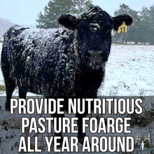 Crooked Bend Memas Moo Mix, 50LB Bulk, Farm Pasture Seed Blend for Horse, Cattle, Pig, Goat, Chicken, Duck, Sheep & Livestock, Grow Alfalfa & Perennial Grasses Fields, Graze & Cold Tolerant