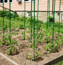 6' Foot Green Plastic Coated Steel Garden Stakes (150)