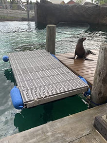 Patriot Docks 4'x8' Floating Dock Kit Section Gray Polypropylene Decking