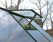 Palram - Canopia Mythos 6' x 6' Polycarbonate Aluminum Greenhouse, Green