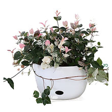 Hanging Planter Hanging Plant Hanging Planter Indoor Outdoor Home Garden Decor Vase Wall Mounted Flower Basket Flowers Not Included Suitable for Indoor and Outdoor Plants ( Color : A3pcs ) (B3pcs )