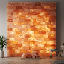 PSW Himalayan Salt Wall Kit, 28x40 Inch, with Full & Half Bricks, Salt Adhesive, LED Strip, Visual Installation Guide