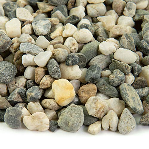 Landscape Rock and Pebble | 2000 Pounds | Natural, Decorative Stones and Gravel for Landscaping, Gardening, Potted Plants, and More (Glacier, 3/8 Inch)