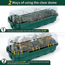 1pcs Gardening Home Decoration Fleshy Nursery Tray Three-Color 10-Hole Can Be Placed Nursery Block Flip Nursery Box (Color : Black) (Green)