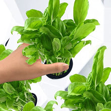 ZXMT Hydroponics Tower Growing System, DIY Hydroponics Farm Equipment Aeroponic for Indoor Herbs, Fruits and Vegetables with Hydrating Pump Timer Adapter