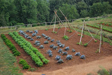 We SAVVY Irrigation GK-4000-RV Garden Irrigation Kit 4000 Row Feet