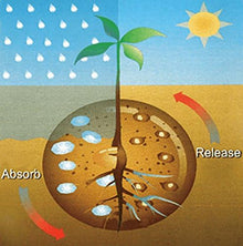 Fine Granules Potassium Polyacrylate Hydrogels: Improve Soil Hydration and Plant Growth with Water-Storing Crystals (20, Pounds)