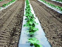 Silver Metallic Plastic Mulch 4 Ft X 4000 Ft 1.0 Mil Embossed by Growerssolution