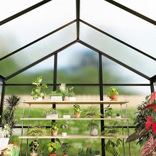 6x10 FT Greenhouse, Easy Assembly Aluminum Polycarbonate Greenhouses for Outdoors with Roof Vent, Large Aluminum Walk-in Greenhouse for Sunroom Patio, Backyard, Garden, Sliding Lockable Door, Black