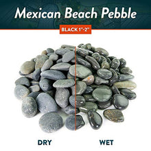 Southwest Boulder & Stone Mexican Beach Pebbles | 2000 Pounds of Smooth Unpolished Stones | Hand-Picked, Premium Pebbles for Garden and Landscape Design | Black, 1/2 Inch - 1 Inch