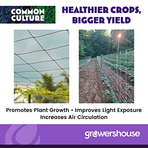 COMMON CULTURE Professional Grade Trellis Netting Bulk Roll 6.5ft x 4920ft Heavy Duty Scrog Net