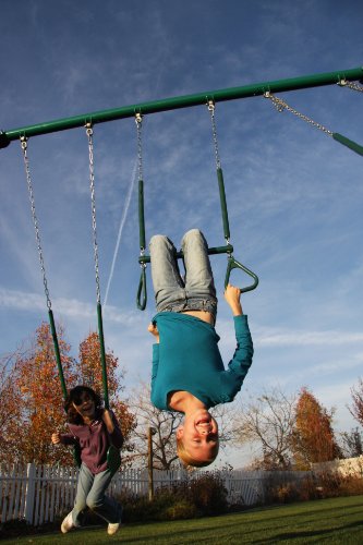 Lifetime Metal Swing Set Earthtone