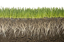 Soil Vigor Potassium Water Storing Polymer Crystal for Soil Aeration 45g