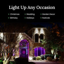 Pro Christmas Outdoor C9 Pathway Light Kit, Red/White/Blue, 100 Bulbs, 100'