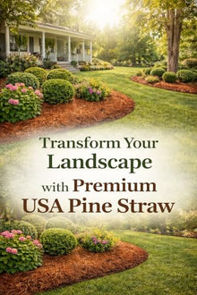 Long Needle Pine Straw Mulch - 160 Sqft Coverage 4 Set - Premium USA Harvested PineStraw for Landscaping, Weed Control, Moisture Retention & Erosion Control - USA Pinestraw
