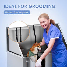 Wanttii Professional Stainless Steel Dog Bathing Station Silver