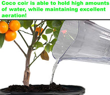 Viagrow Coconut Soilless Grow Media 11 lb 5KG Block
