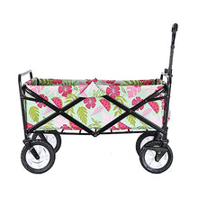 Shopping Cart Folding Portable Trolley Cart, Garden Heavy Duty Wagon with 10.5In Rubber Wheels for Outdoor/Camping/Mall, Double Brake with Ball Bearing