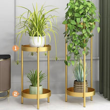 2 Tier Stand for Indoor Outdoor, Plant Stand Indoor Outdoor Metal Plant Rack Organizer Plant Rack,Display Shelf Racks for Home Garden Office