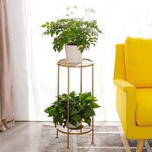 RWGOVLU Plant Stand Iron Art Outdoor Garden Floor-Standing Plant Stand Flower Stand Flower Pot Stand Flower Stand With 2 tiers Indoor Balcony Flower Stand