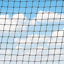 Harrier Fruit & Vegetable Cage - Walk-in Garden Domes | Anti-Bird Cage & Netting (4m x 4m, 1x Door Kit)