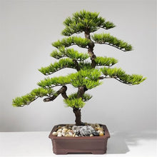 YXIANG56Q Fake Plants Chinese-Style Artificial Bonsai Tree with Realistic Wood and Ceramic Pot Fake Plants for Home Office Bonsai Tree