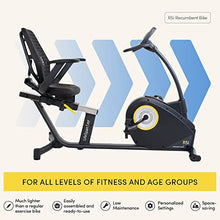 LifeSpan Fitness R5i Recumbent Stationary Bike Black