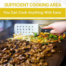 AMS Fireplace Le Griddle,2 Burner Outdoor 304 Stainless Steel Griddle 30inch ,(Liquid Propane,Two Burner Griddle) 18,000 BTU's Tasty Cooking-Outdoor Clothing Cover Included.Made in France (GFE75)