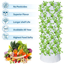 ZXMT Hydroponics Tower Growing System, DIY Hydroponics Farm Equipment Aeroponic for Indoor Herbs, Fruits and Vegetables with Hydrating Pump Timer Adapter