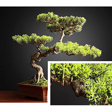 GRFIT Artificial Bonsai Artificial Bonsai Tree Faux Tree Bonsai Pine Tree Bonsai with Red Ceramic Pot Indoor Decoration House Plant for Desktop Home Decor for Home Office
