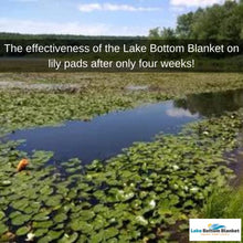 Lake Bottom Blanket Aquatic Weed Control | Chemical-Free Vegetation Inhibitor for Lakes & Ponds | Benthic Barrier | Instant Weed Free Swimming (10.75 feet x 50 feet)