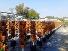 U-Pick Garden Vertical Planters (Stone)