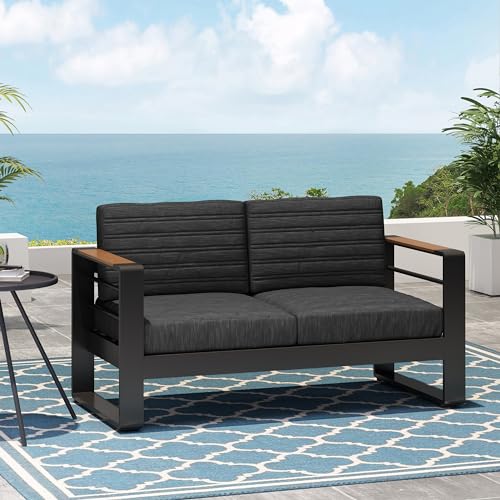 Roomfitters Modern 2-Seater Outdoor Loveseat with Aluminum Frame and Cushions Black