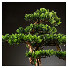 Fake Plants 17 Inch Tall Artificial Pine Bonsai Ornament, A New Chinese Simulation Welcoming Pine, Faux Tree for Tea Room（with Cleaning Brush） Bonsai Tree