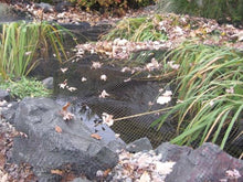 EasyPro NR201F Premium Pond & Garden Cover Netting, 3/8" X 20' X 100'