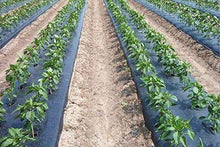 Farm Plastic Supply Poly Mulch 48" Wide 4000' Long 1.25 mil Thickness