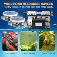 MEISHUNDA Pond & Lake Aeration System,Pond Aerator Pump,550W Power 5.2CFM for Up to 3 Acre with Timer,3/4 HP Compressor (1 hose, 1)