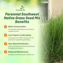 Outsidepride Southwest Native Grass Seed Mix 25 lbs Green