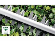 Bosch Home and Garden Hedge Trimmer - AdvancedHedgeCut 65 (500 W, Blade Length: 65 cm, for Large Hedges, Cutting Capacity: 34 mm, in Cardboard) 06008C0801 Green