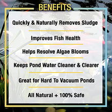 MICROBE-LIFT MLXSA55G Sludge-Away Pond and Outdoor Water Garden Sludge Remover, OK for Koi Fish, Plant Life, and Decor, 55 Gallons