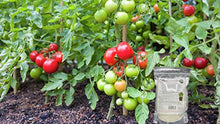 Transform Your Garden with Soil Vigor® - Enhance Hydration, Growth, and Resilience with 9 x 5-Pound Bags (Total 45 Lb) (Small Granules)