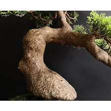 GRFIT Artificial Bonsai Bonsai Tree Faux Pine Tree Bonsai Juniper Tree Bonsai Artificial Bonsai Tree Indoor Decoration House Plant with Ceramic Pot for Home Office