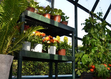 Palram Canopia Rion Prestige 8x8 Ft. Greenhouse Heavy Duty DIY Kit Green