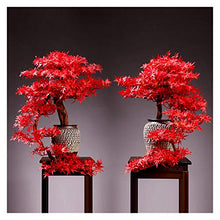 Large Living Room Simulation Welcoming Pine Bonsai Porch Plant Potted Indoor Desktop Green Plants Flower Ornaments Decoration Gifts House Plant (Color : O)